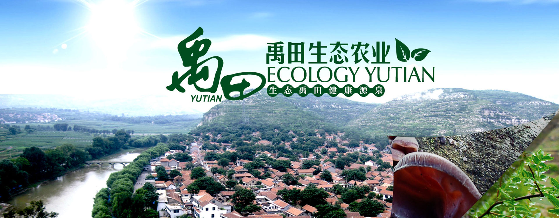 濟(jì)寧鑫欣超聲電子設(shè)備有限公司